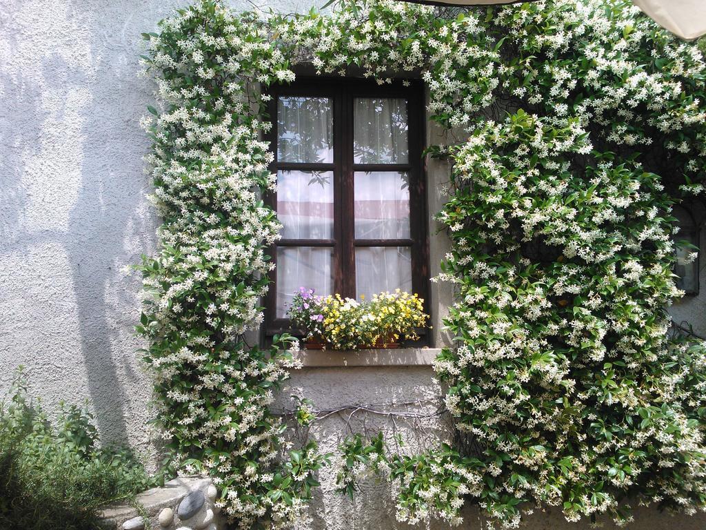 Agriturismo Cassinazza Orsenigo Room photo