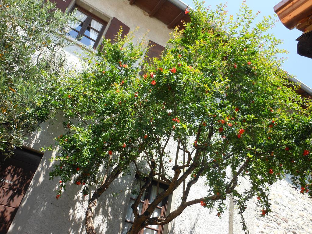 Agriturismo Cassinazza Orsenigo Exterior photo